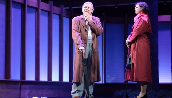 Спектакль «Старомодная комедия»