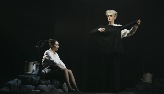 Спектакль «Дорогая Елена Сергеевна»