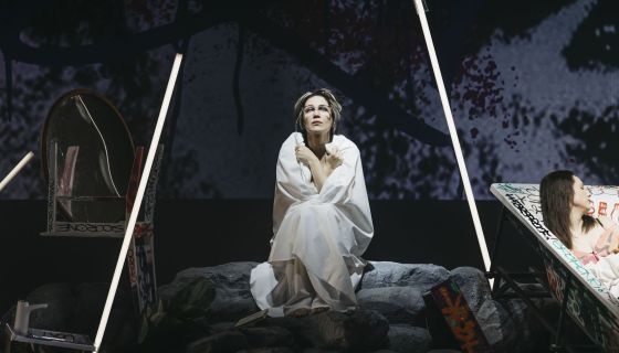 Спектакль «Дорогая Елена Сергеевна»