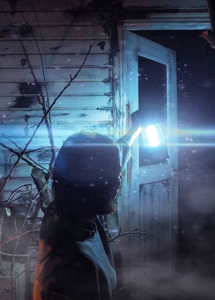 Пропавшие в лесу