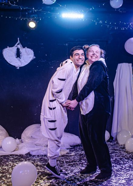 Приключение Тигрёнка и Медвежонка