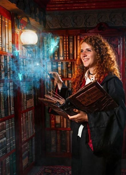 Гарри. Школа магии