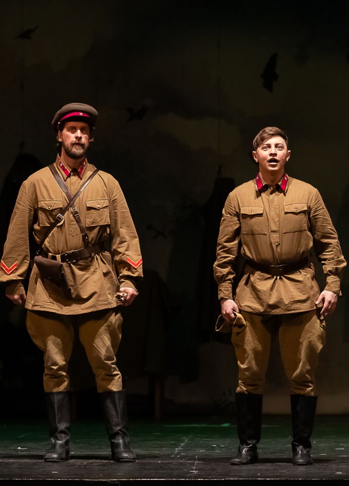 Бессмертники