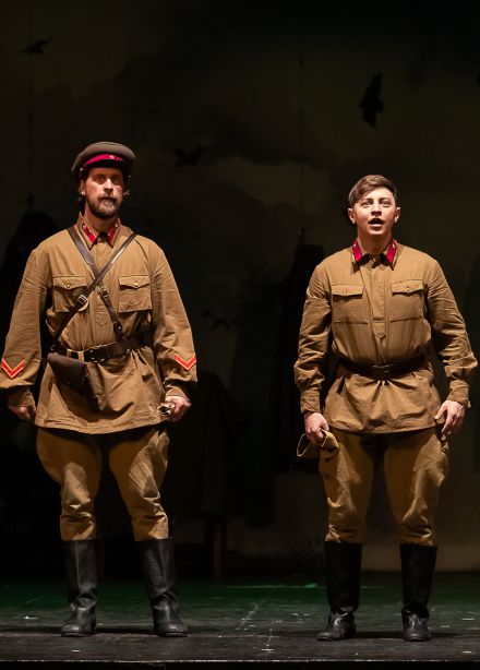 Бессмертники