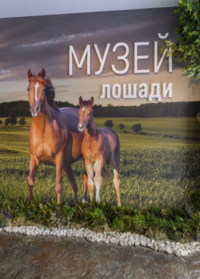 Обзорная экскурсия по интерактивной экспозиции «Музей лошади»