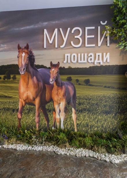 Обзорная экскурсия по интерактивной экспозиции «Музей лошади»