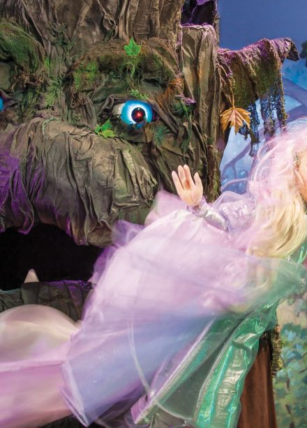 Заколдованный лес