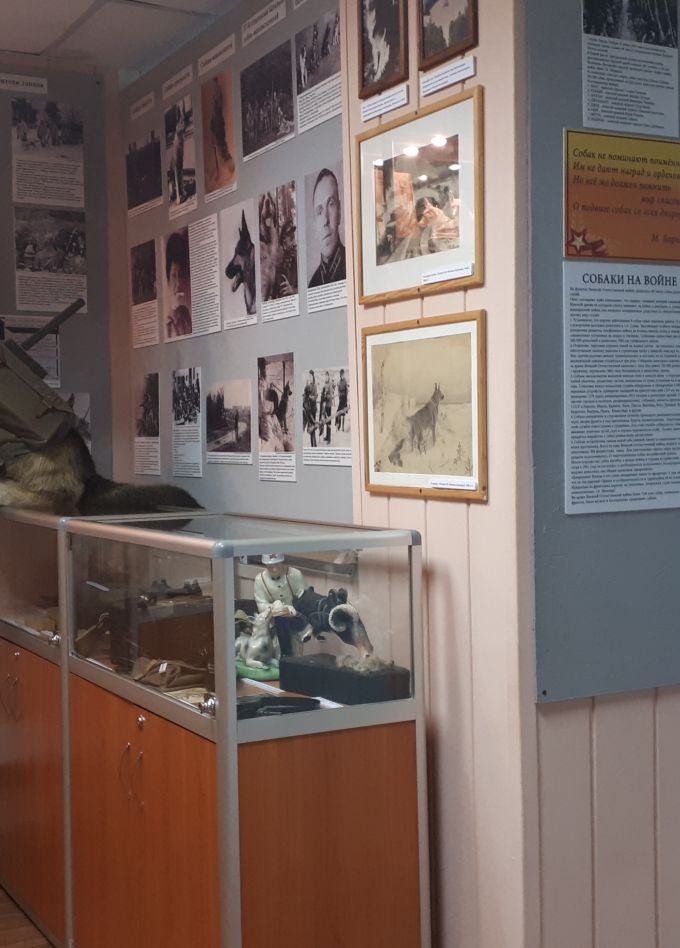 Обзорная экскурсия по музею