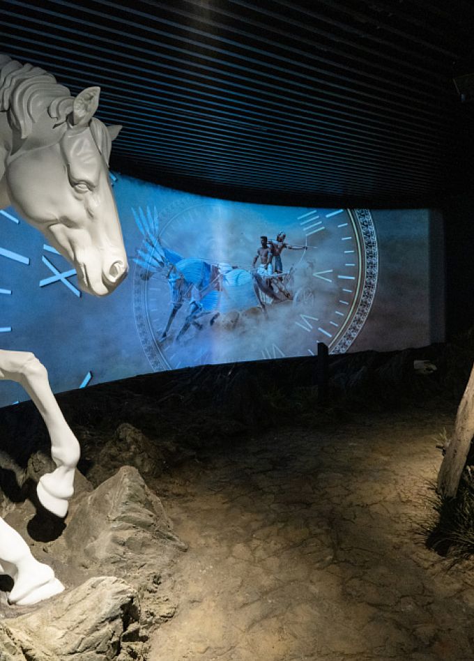 Стандартная экскурсия по интерактивной экспозиции «Музей лошади»