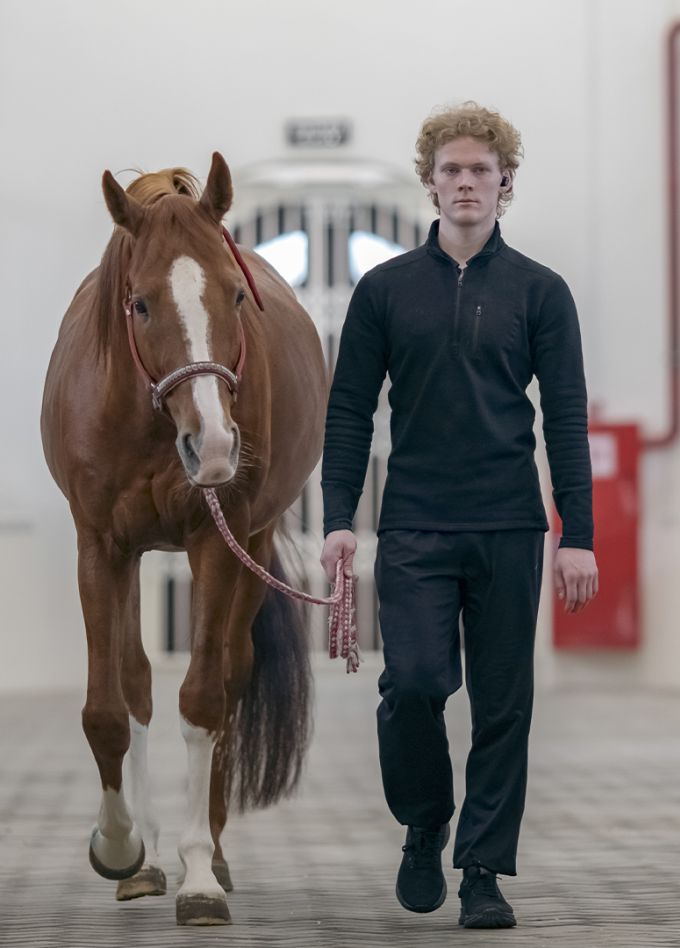 Тематическая экскурсия по демонстрационной конюшне