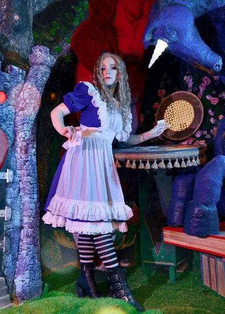 По следам Алисы