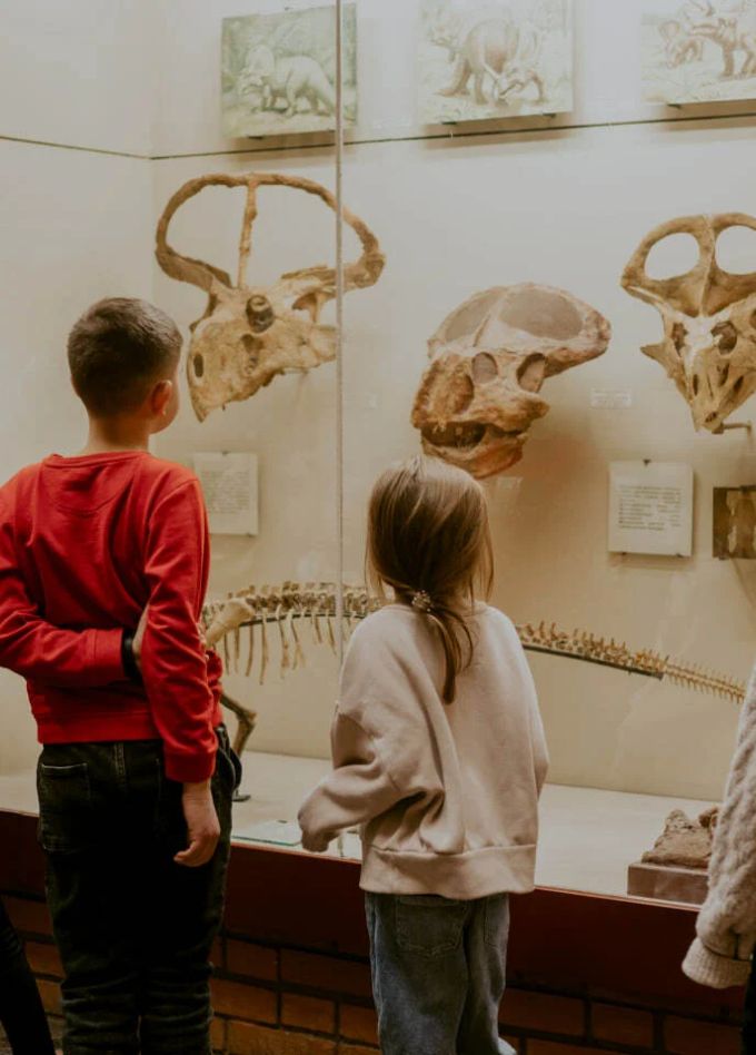 В гости к динозаврам (5–7 лет)