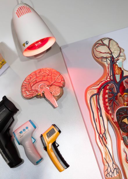 Секреты теплокровных