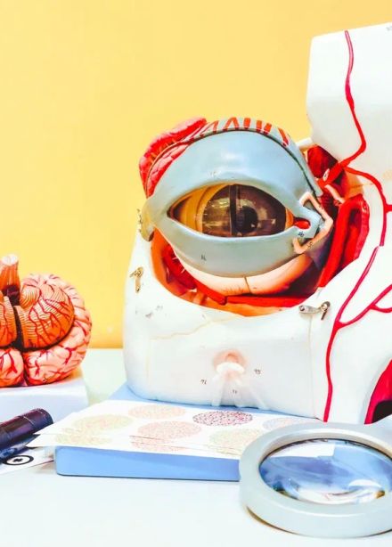 В поле зрения