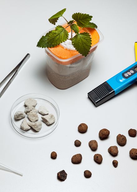 Сити-фермер