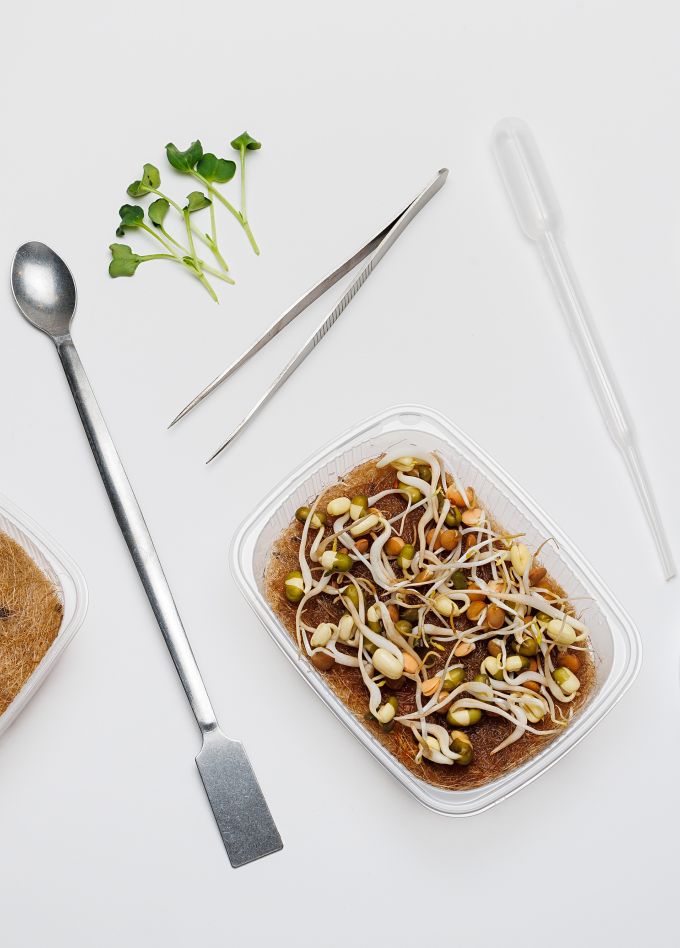 Лаборатория микрозелени