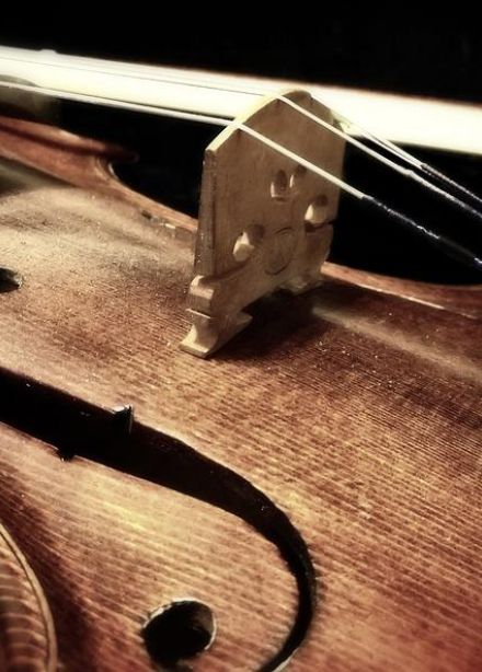 Краски танго