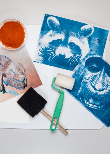 Фотография в синих тонах