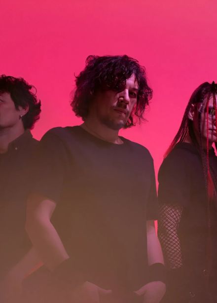 Адаптация пчёл