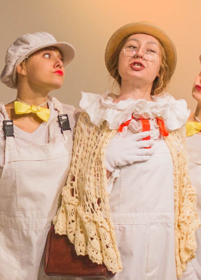 Чудесное путешествие Нильса с дикими гусями