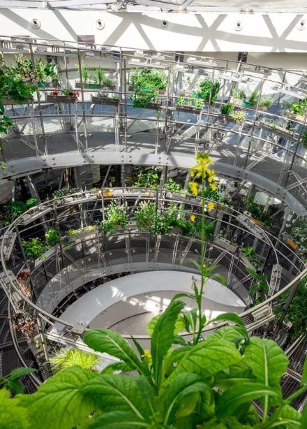 Флора России в аэропонике Флорариума