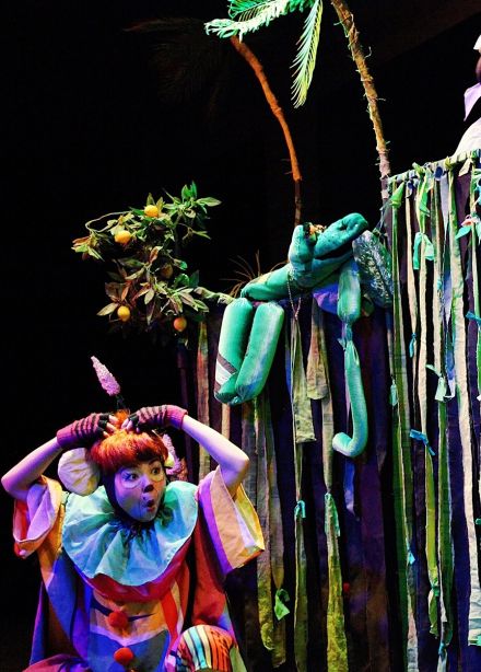 Попугайская история