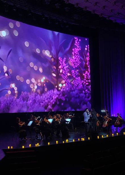 Дудук с оркестром