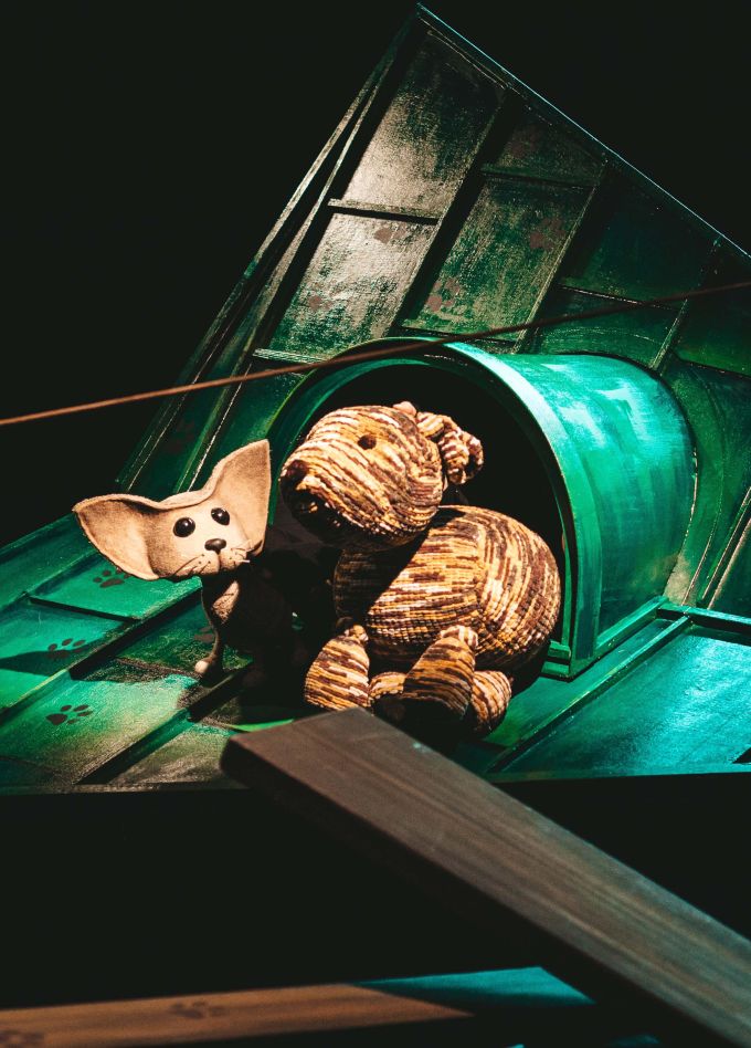 Котенок по имени Гав