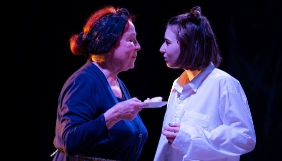 Спектакль «Как я была гадиной»