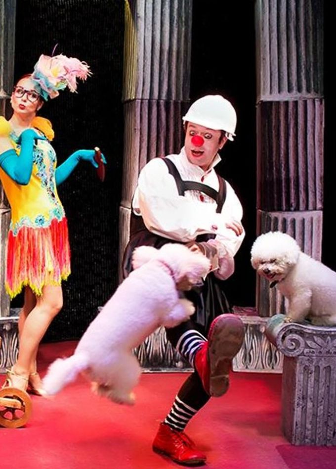 Дмитрий Куклачёв. Я — клоун, или Котостройка