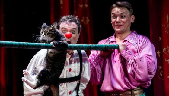 Дмитрий Куклачёв. Я — клоун, или Котостройка