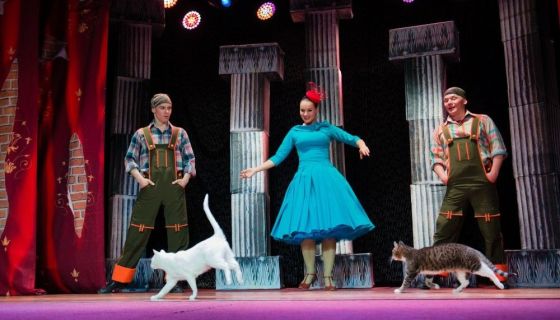 Дмитрий Куклачёв. Я — клоун, или Котостройка