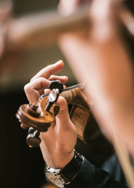 Концерт «Штраус-гала»