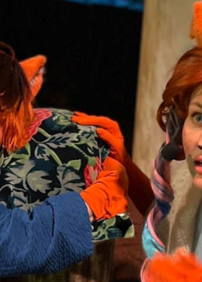 Приключения лисёнка Шустрика