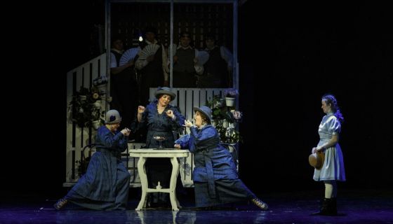 Спектакль «Поллианна»