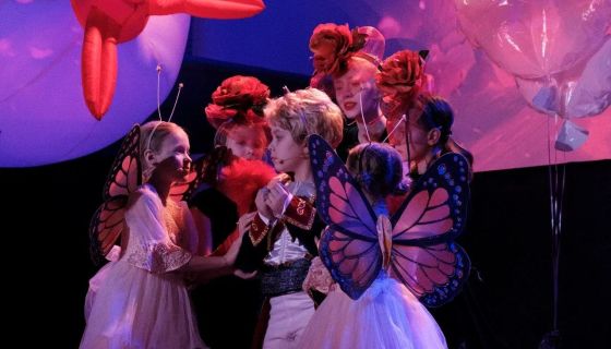 Спектакль «Мальчик со звезды»