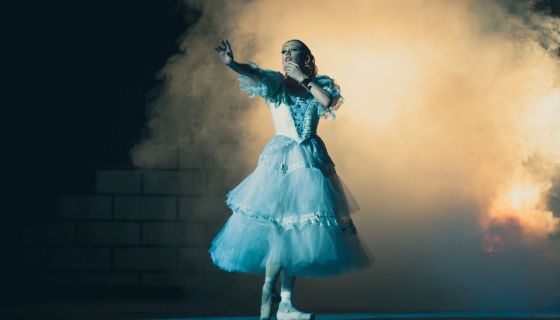 Балет «Дама с камелиями»