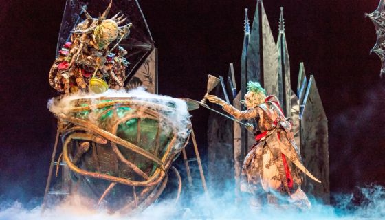 Спектакль «Спящая красавица»