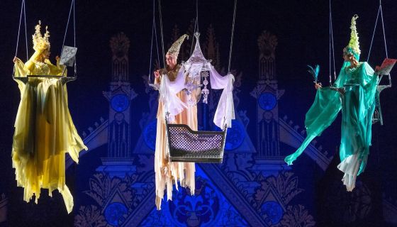 Спектакль «Спящая красавица»