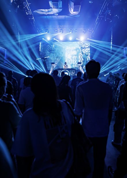 Слоны: 360. Elephant Trunk