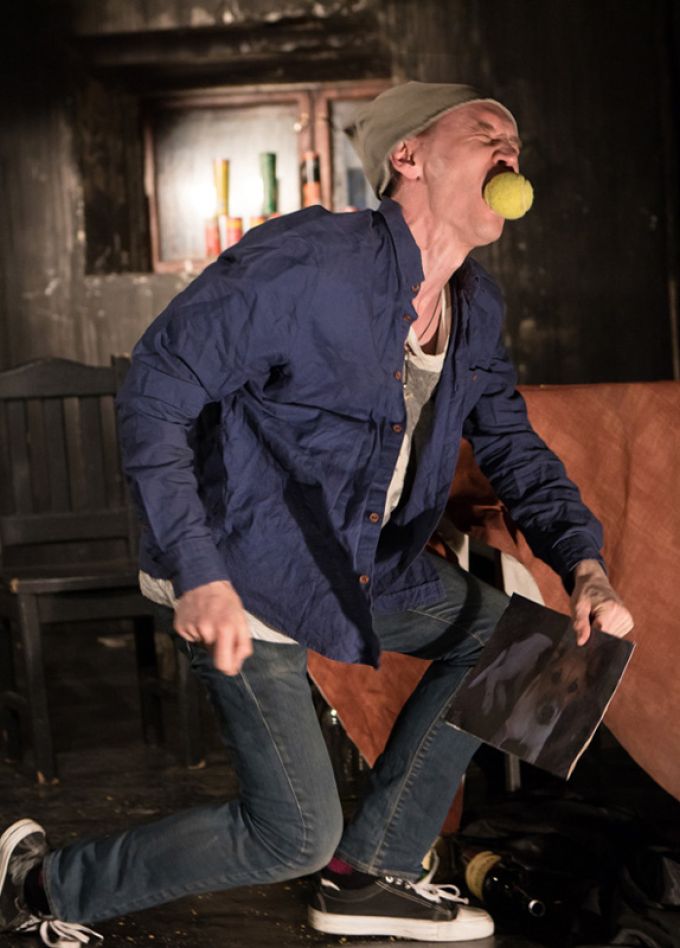 Сиротливый запад