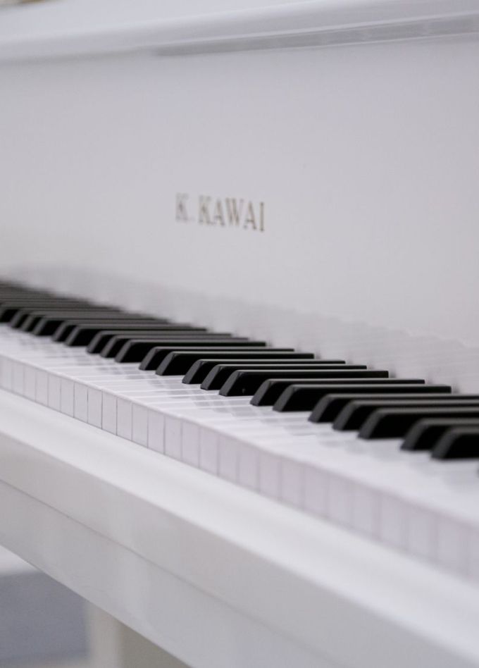 Концерт «Звучание эпох. Классицизм и модерн. Альт, виолончель и рояль»