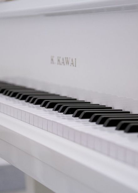 Концерт «Звучание эпох. Классицизм и модерн. Альт, виолончель и рояль»