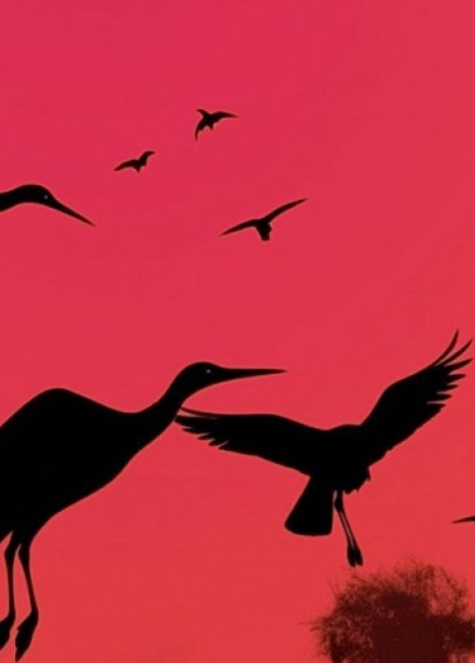 Оркестр орган шоу. Шедевры Поля Мориа, Эннио Морриконе, Нино Рота