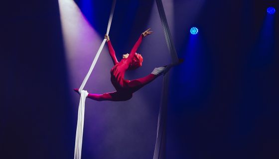 Цирковое шоу «Волшебник Изумрудного города», Нагорный