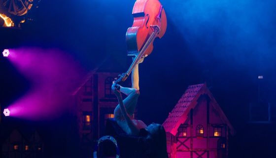 Цирковое шоу «Золушка. История одной мечты», Нагорный