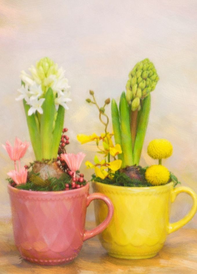 Мастер-класс «Цветочная композиция с живым гиацинтом»