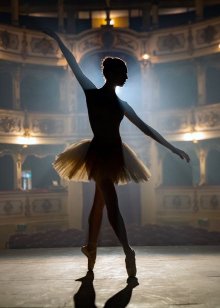 Балет «Тщетная предосторожность»