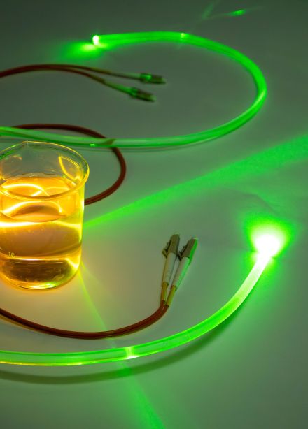 Куда ведут свет?