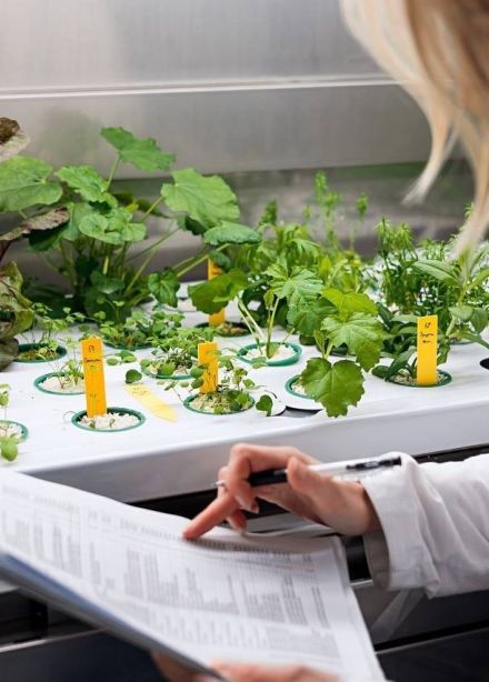 Флорариум. Как всё устроено